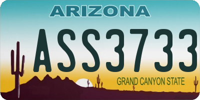AZ license plate ASS3733