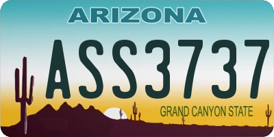 AZ license plate ASS3737