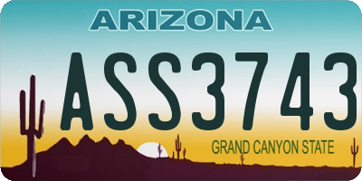AZ license plate ASS3743