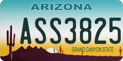 AZ license plate ASS3825