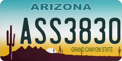 AZ license plate ASS3830
