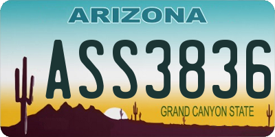 AZ license plate ASS3836