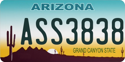 AZ license plate ASS3838