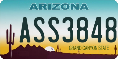 AZ license plate ASS3848
