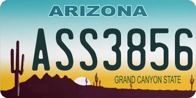 AZ license plate ASS3856
