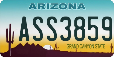 AZ license plate ASS3859