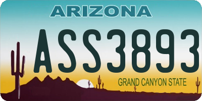AZ license plate ASS3893