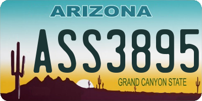 AZ license plate ASS3895