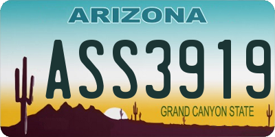 AZ license plate ASS3919