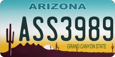 AZ license plate ASS3989