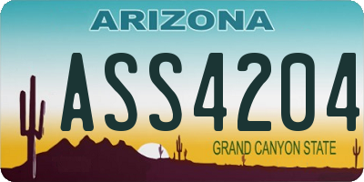 AZ license plate ASS4204