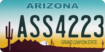 AZ license plate ASS4223