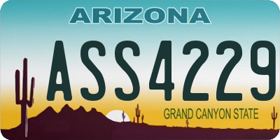 AZ license plate ASS4229