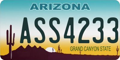 AZ license plate ASS4233