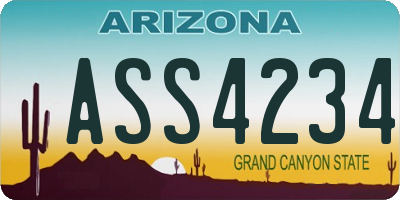 AZ license plate ASS4234