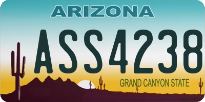 AZ license plate ASS4238