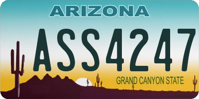 AZ license plate ASS4247