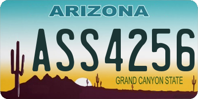 AZ license plate ASS4256