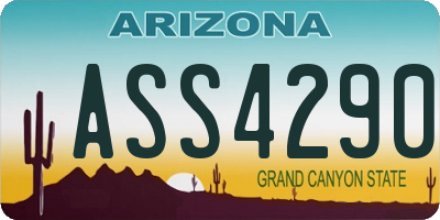 AZ license plate ASS4290