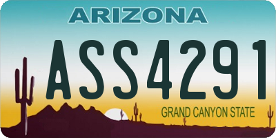AZ license plate ASS4291