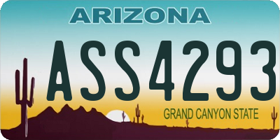 AZ license plate ASS4293