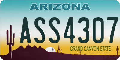 AZ license plate ASS4307