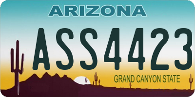 AZ license plate ASS4423