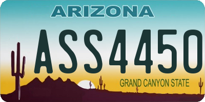 AZ license plate ASS4450