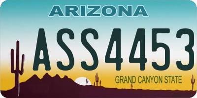 AZ license plate ASS4453