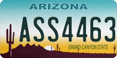 AZ license plate ASS4463