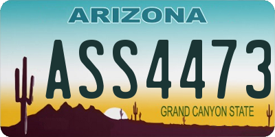 AZ license plate ASS4473