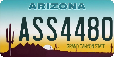 AZ license plate ASS4480