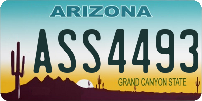 AZ license plate ASS4493