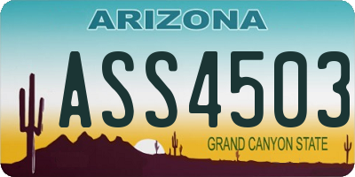 AZ license plate ASS4503