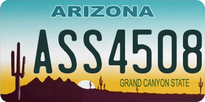 AZ license plate ASS4508