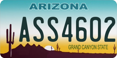 AZ license plate ASS4602