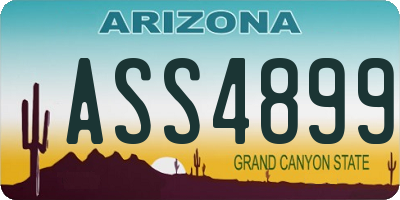AZ license plate ASS4899