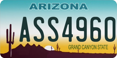 AZ license plate ASS4960