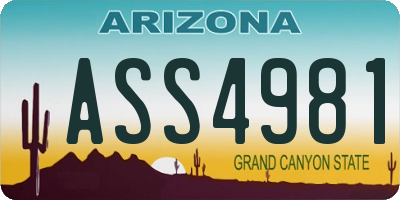 AZ license plate ASS4981