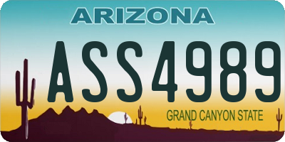 AZ license plate ASS4989
