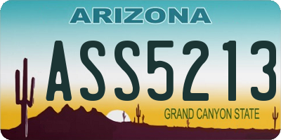 AZ license plate ASS5213