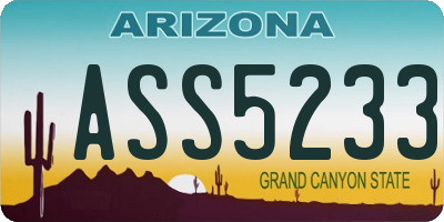 AZ license plate ASS5233