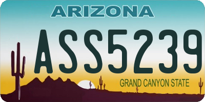 AZ license plate ASS5239