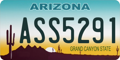AZ license plate ASS5291