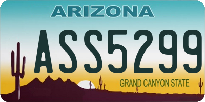 AZ license plate ASS5299
