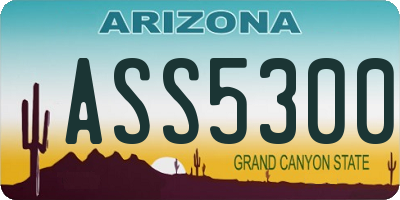 AZ license plate ASS5300