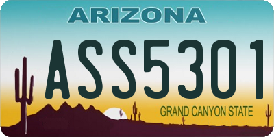 AZ license plate ASS5301
