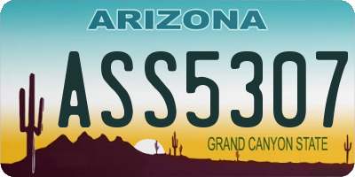 AZ license plate ASS5307