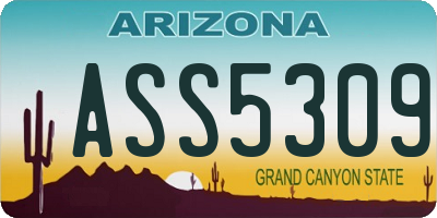 AZ license plate ASS5309
