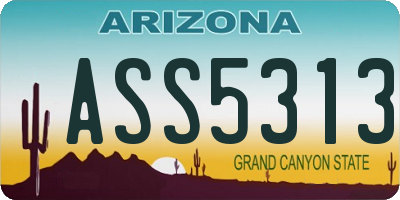 AZ license plate ASS5313